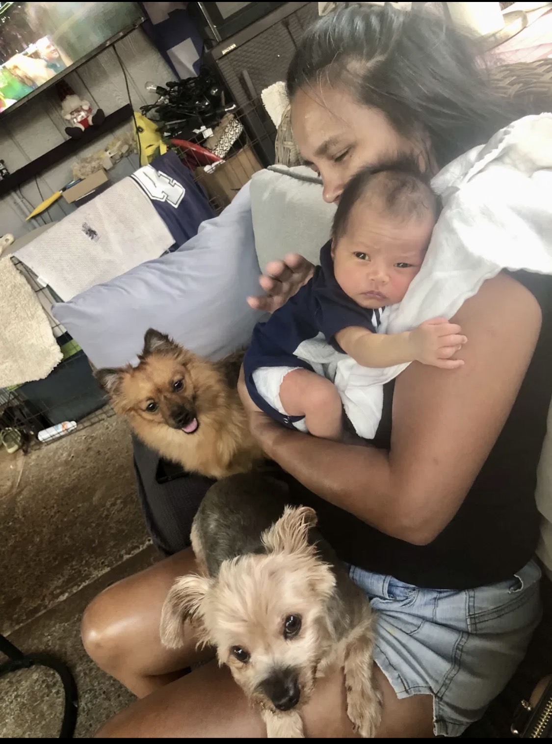 Family moment with a baby and two dogs