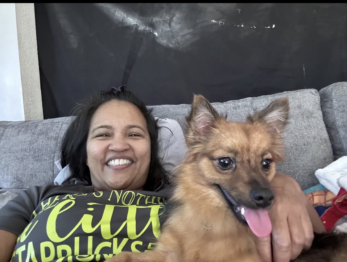 Relaxing on the couch with a fluffy brown dog