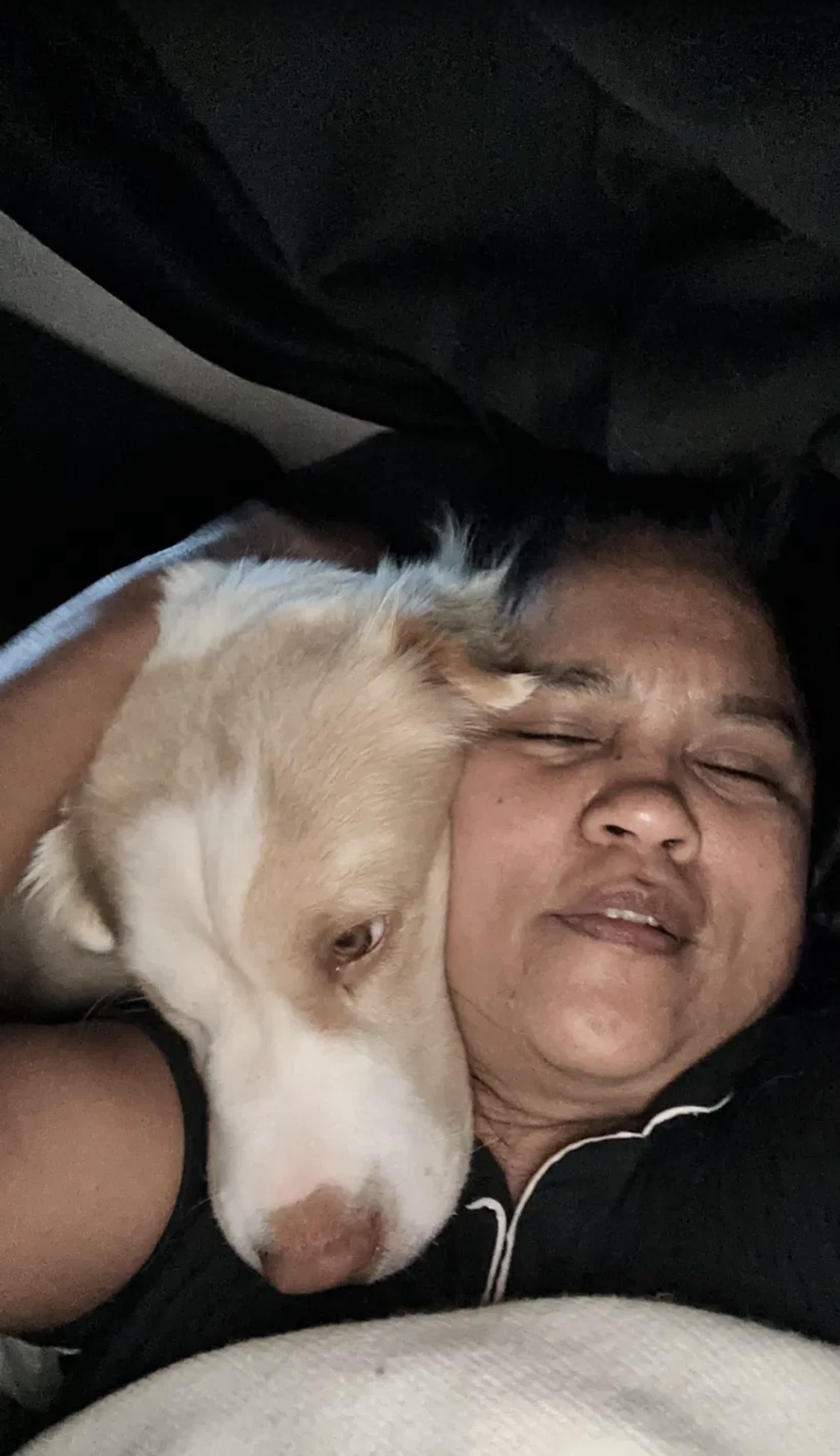 Pet getting some love