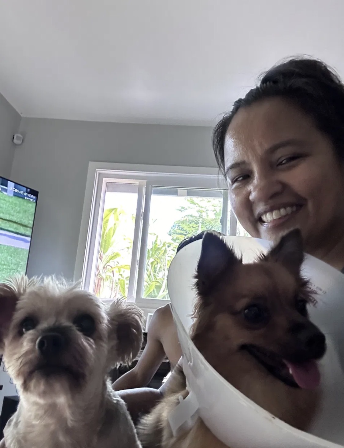 Happy tails during boarding